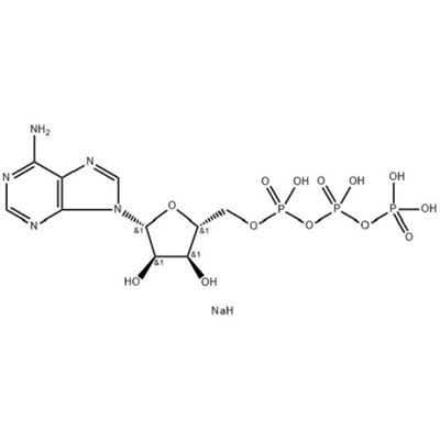 5'-τριφωσφατάση αδενοσίνης, άλας δινάτριου (ATP-2Na); ΑΡΙΘΜΟΣ CAS: 987-65-5